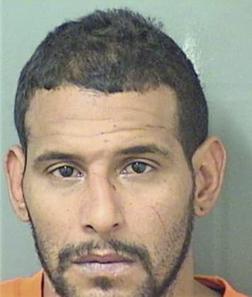 Darryl Montague - Palm Beach County, FL 